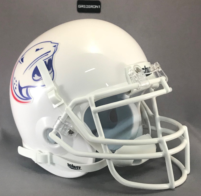 2010 football helmet