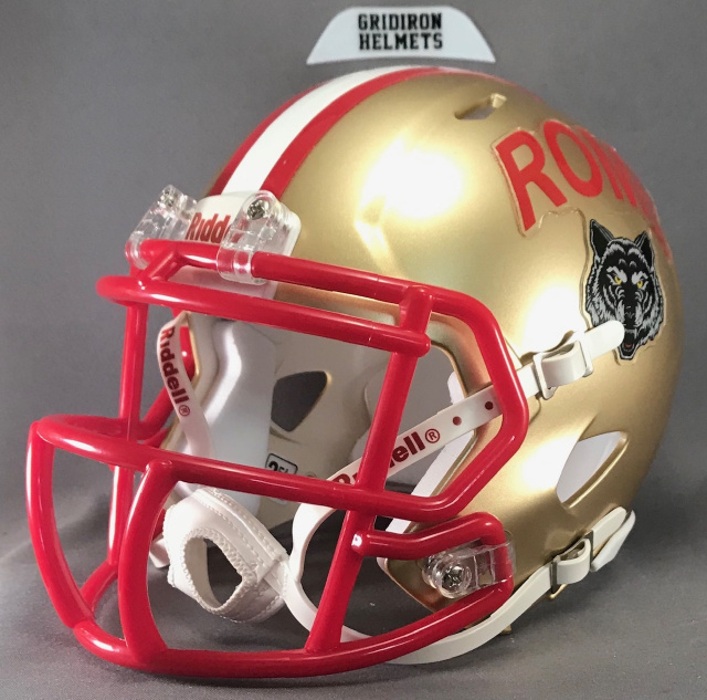 Georgia High School mini football helmets