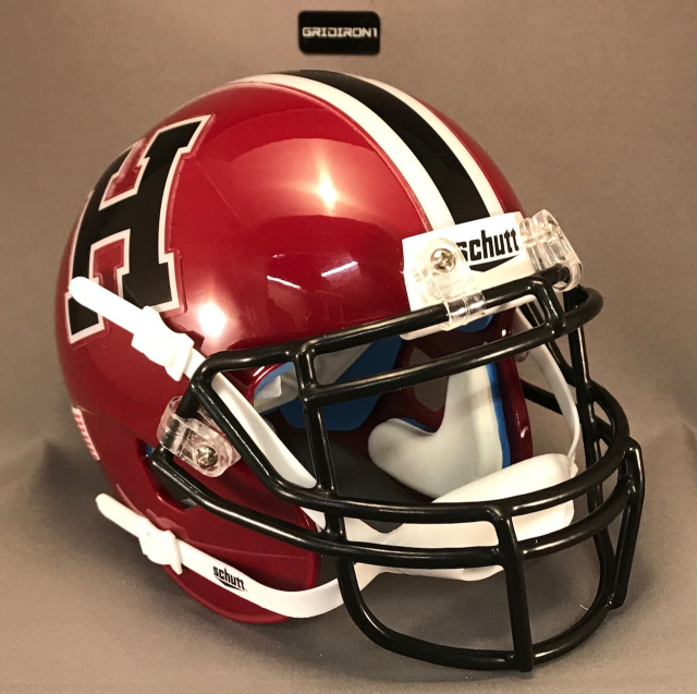 ivy league mini helmets