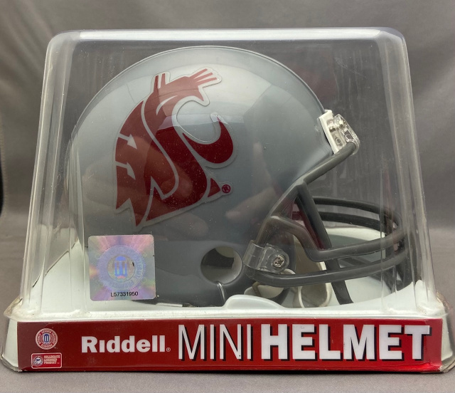 Riddell Washington Football Team VSR4 Mini Football Helmet