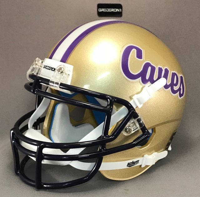 Georgia High School mini football helmets