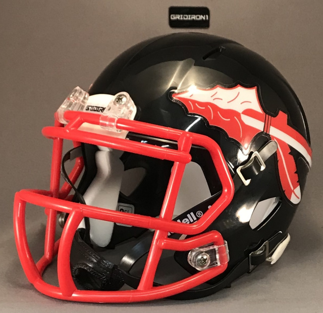 Georgia High School mini football helmets