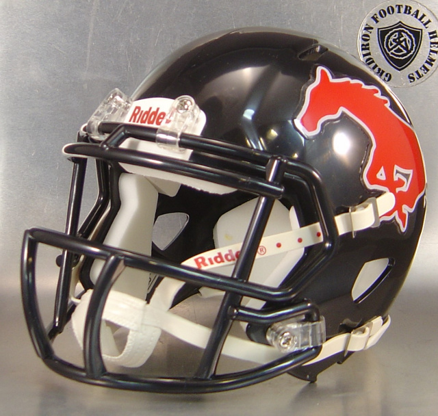 Texas High School Mini Football Helmets